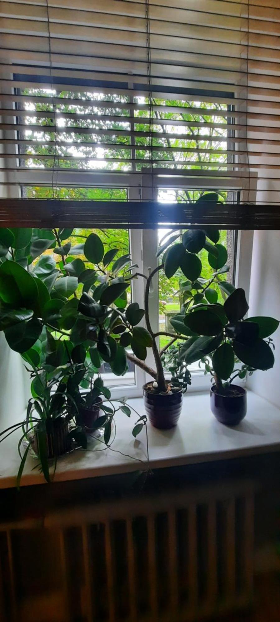 Eksporta 10, Lux Apartment รีกา ภายนอก รูปภาพ